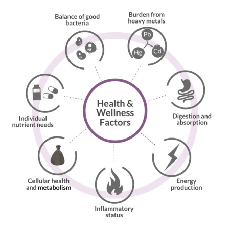 Health and Wellness Factors
